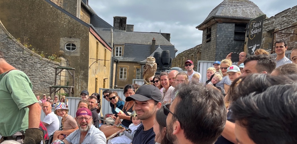 De konijnuil, met een vleugje humor.