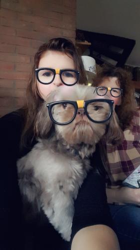 Selfies with my dogs on snapchat