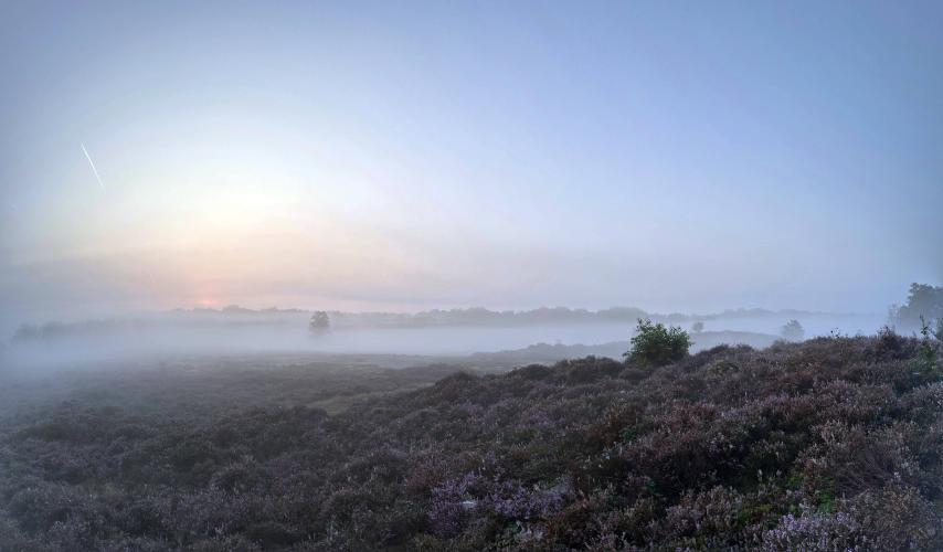 Mistige zonsopgang bij Amerongse Berg
