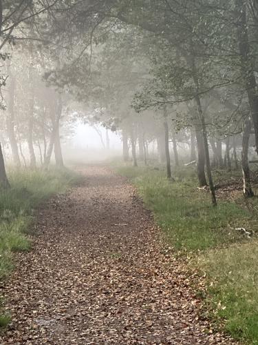 Autumn colors are coming again