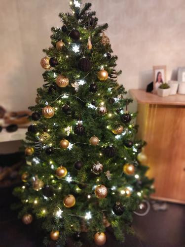 Mooi kerstboom!!! ik heb die van mij eergisteren opgezet