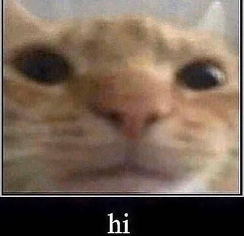 Hoi, ik ben berribujo!