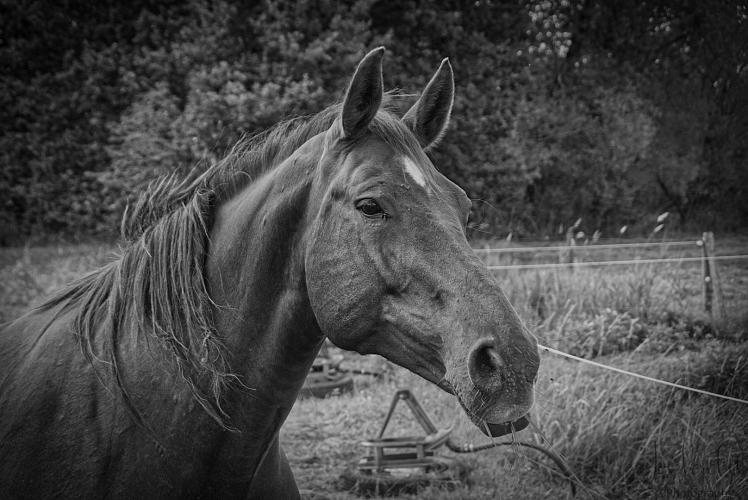 Enkele foto's van de afgelopen weken.