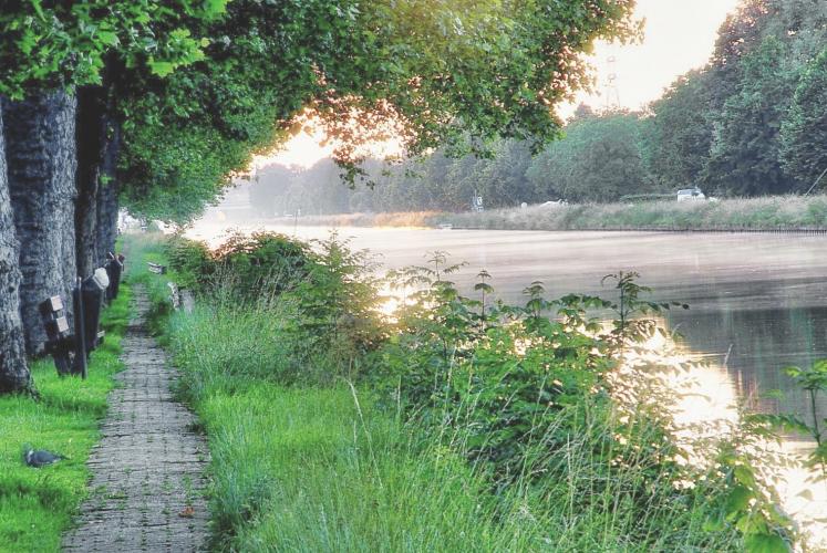 Enkele foto's van de afgelopen weken.