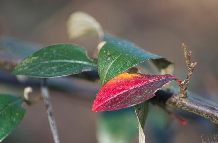 Indrukwekkende natuur