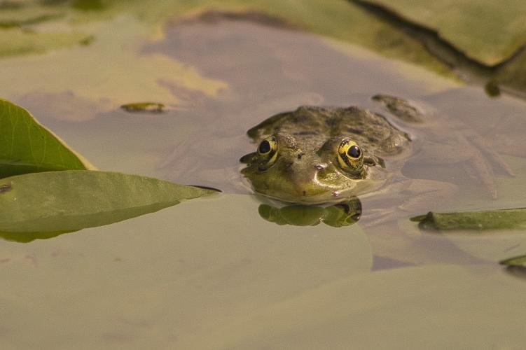 Waar is mijn prinsesje ?