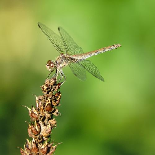 Enjoying the small world