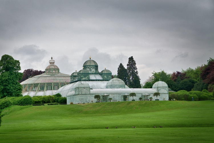 De koninklijke serres