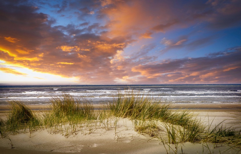 Kleurpracht aan de noordzee