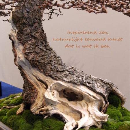 Ben zo vrij geweest er een haiku gedicht op te plaatsen.