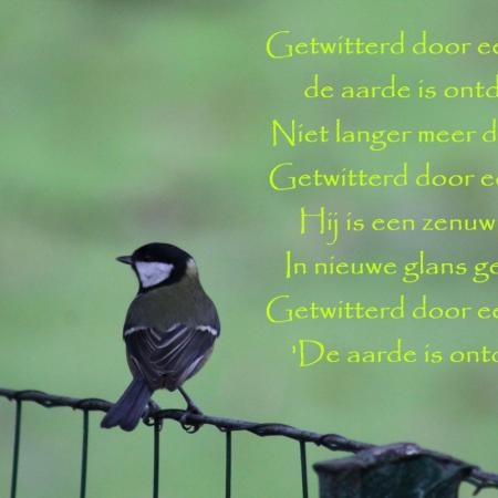 Sorry jongens, ik zie ineens een grote tikfout, maar wil hem niet weghalen, omdat jullie al reacties