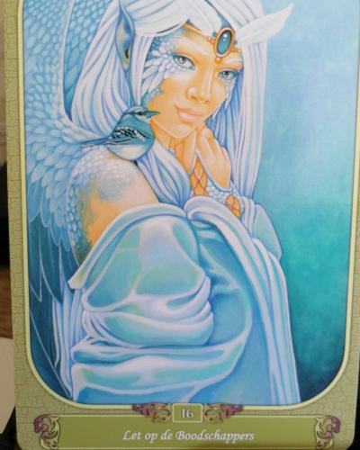 Zie de boodschappen 😍