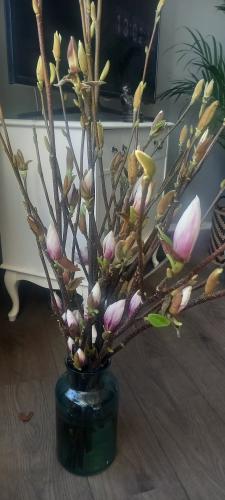 Benefit of working as an tree grower