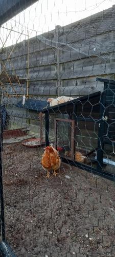 Leven in en van de tuin 