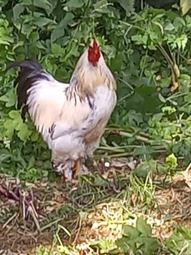 Are you tokking to me?