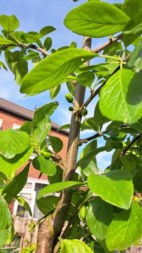 Met liefde en geduld je eigen voedsel