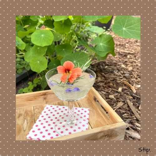 Oost-Indische Kers...