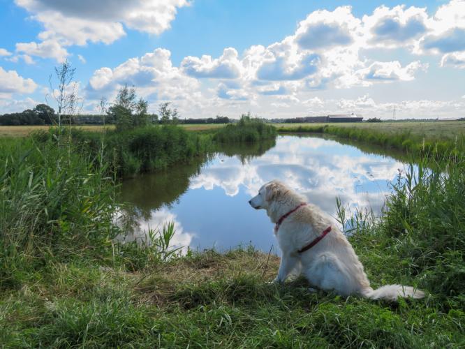 Mijn liefste fotomodel