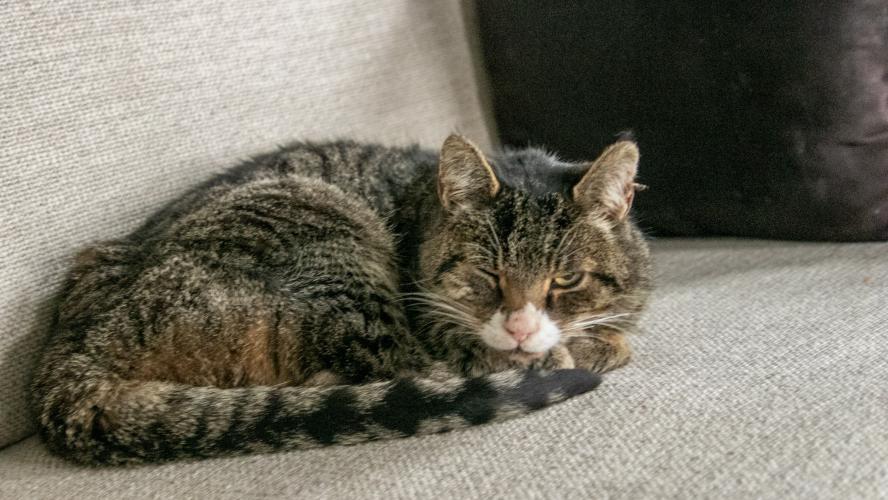 Het gaat goed met mij