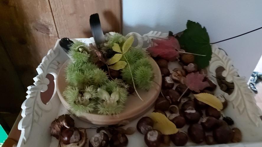 Wij hebben vanmiddag veel gevonden. Binnenkort volgen de knutselwerkjes. Dank voor je inspiratie. Deel ik even.