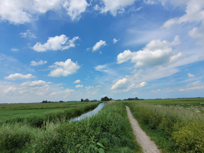 Een wandeling