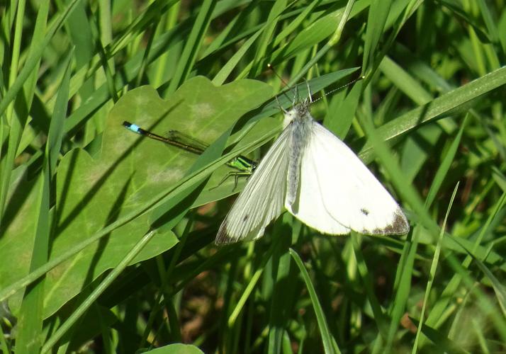 Licht in de duisternis