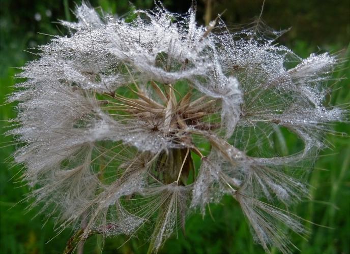Kunstwerken in de natuur