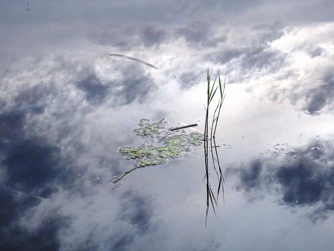 In de spiegel kijken