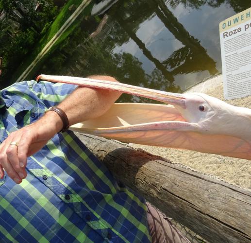 Iemand in de arm nemen