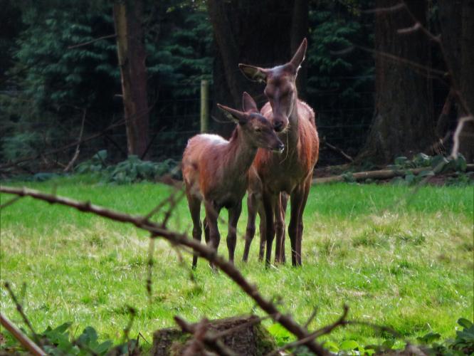 Teveel om op te tellen