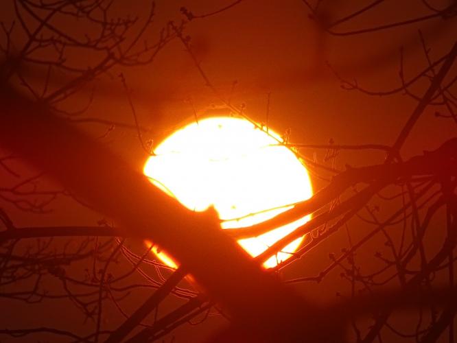 Een smurfige herinnering