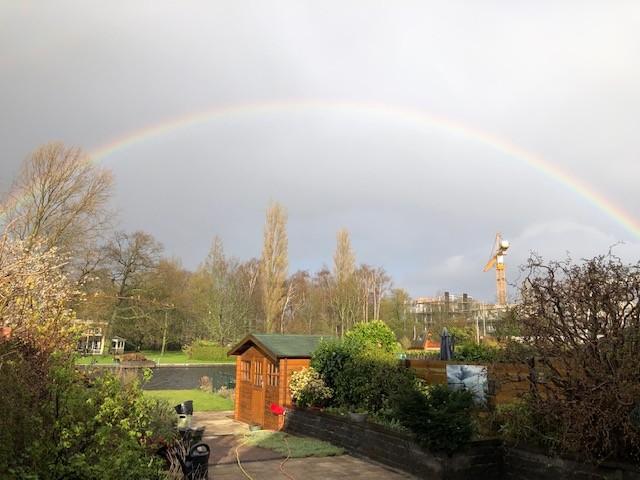 Regenboog 
