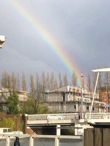 Regenboog 