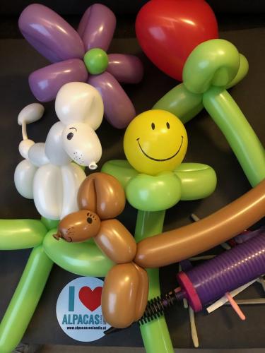 Helaas niet vandaag.