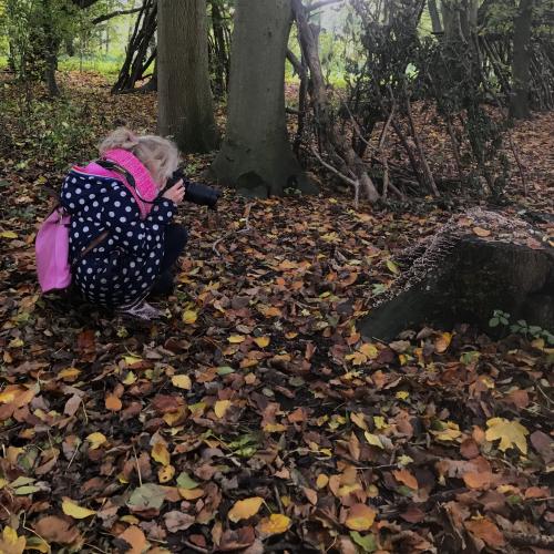 Photographing you can learn...