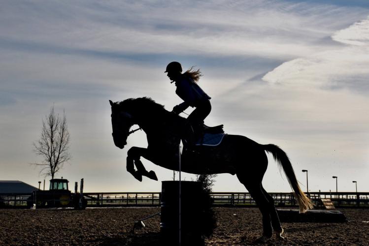 Paarden fotograferen,  Jump, Jump