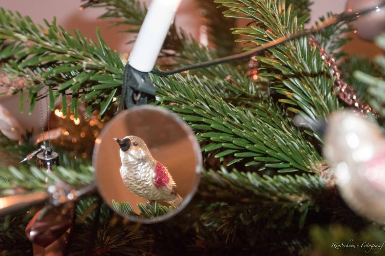 Ik zit al lekker in de Kerstboom  