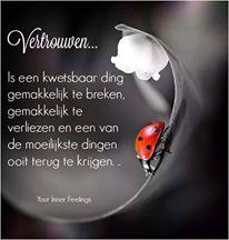 Trust... "a particularly good”, right...?