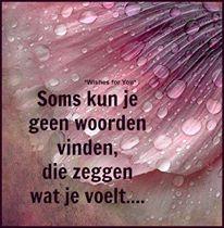 Kun jij hetzelfde bevestigen?