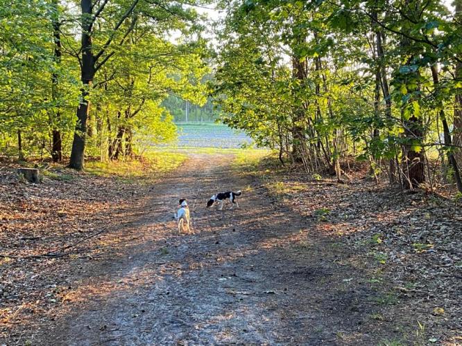 03 t/m 10 juli (WEEK) Hoenderloo nu actie all in ---&gt;  € 542,50 