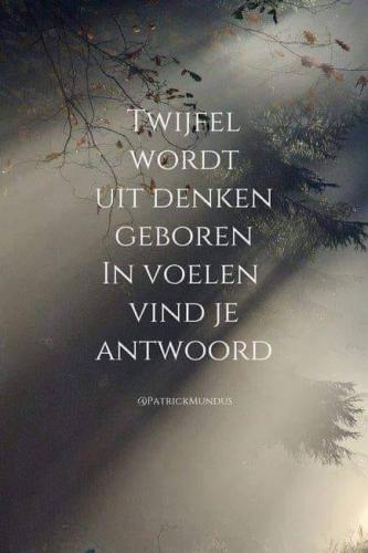 Making a choice, feeling, thinking or a combination of it?