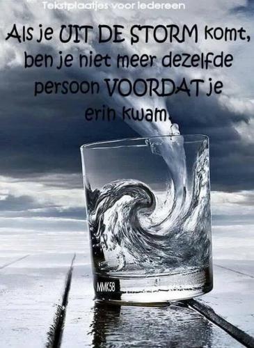 Ga je vandaag mee afstemmen?