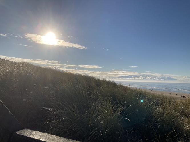 Beach in Egmond aan Zee