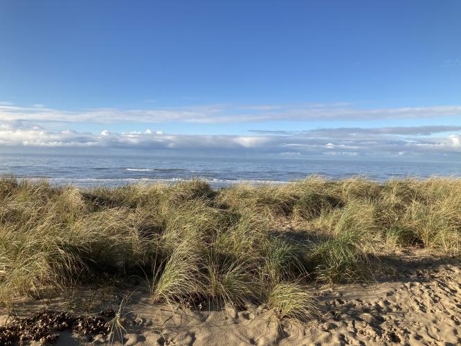 Beach in Egmond aan Zee