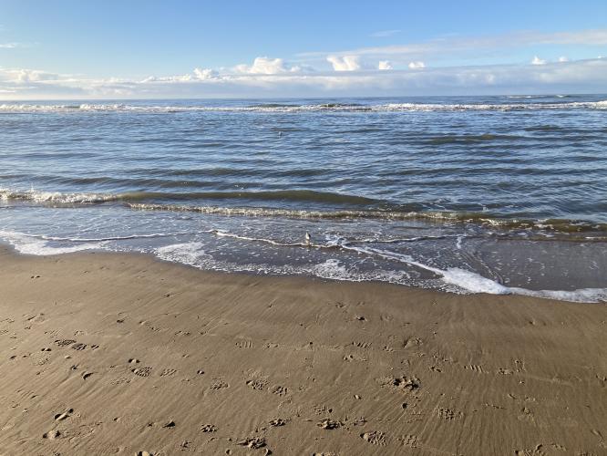 Beach in Egmond aan Zee