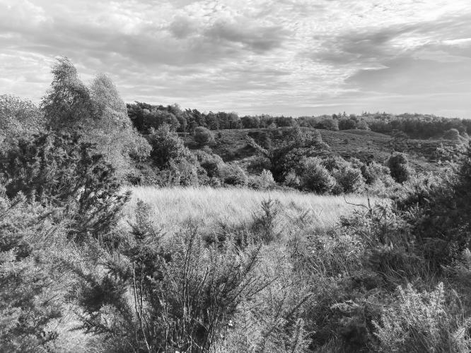 De Posbank in Rheden