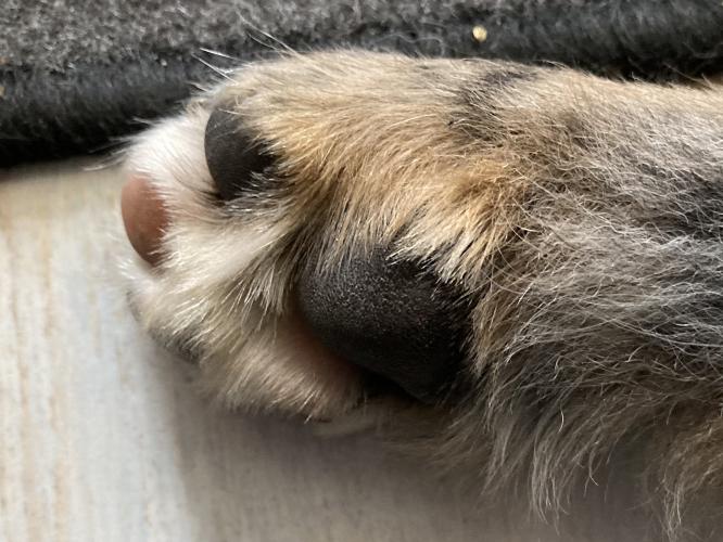 Soms sta ik gewoon even stil…