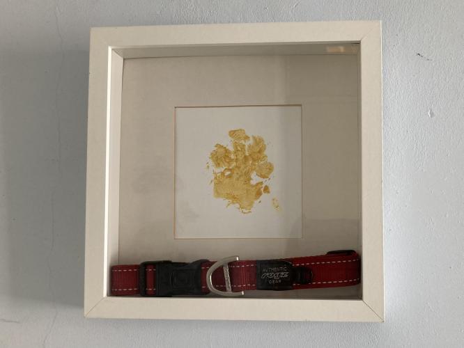 Herinnering aan onze Nina 