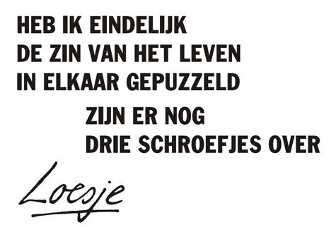 Tja, wat is de zin van het leven? Mijn leraar schreeuwde tegen mij, dat wie voor een dubbeltje geboren is wordt nooit een kwartje.