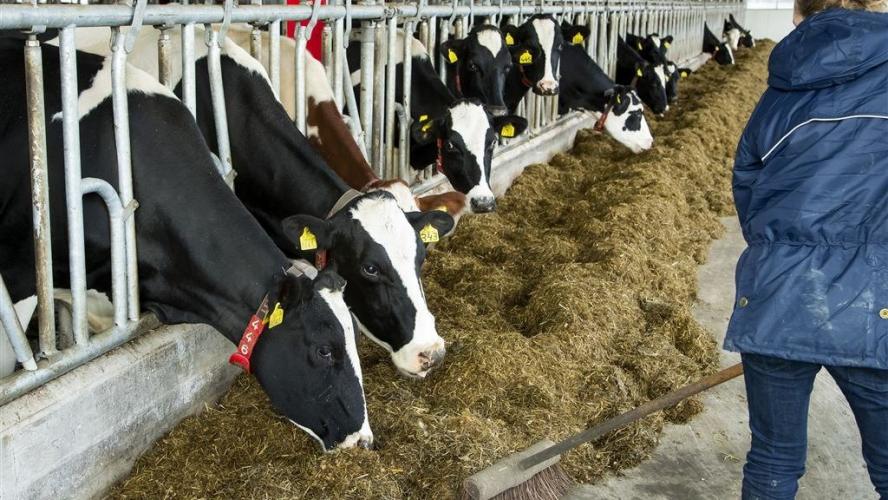 Boeren gaan weer op weg naar Den Haag.